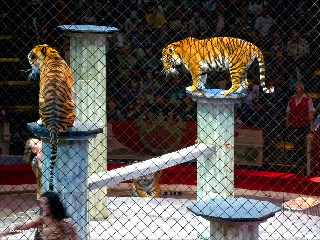 Foto de Moscu, Rusia