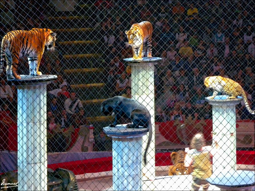 Foto de Moscu, Rusia