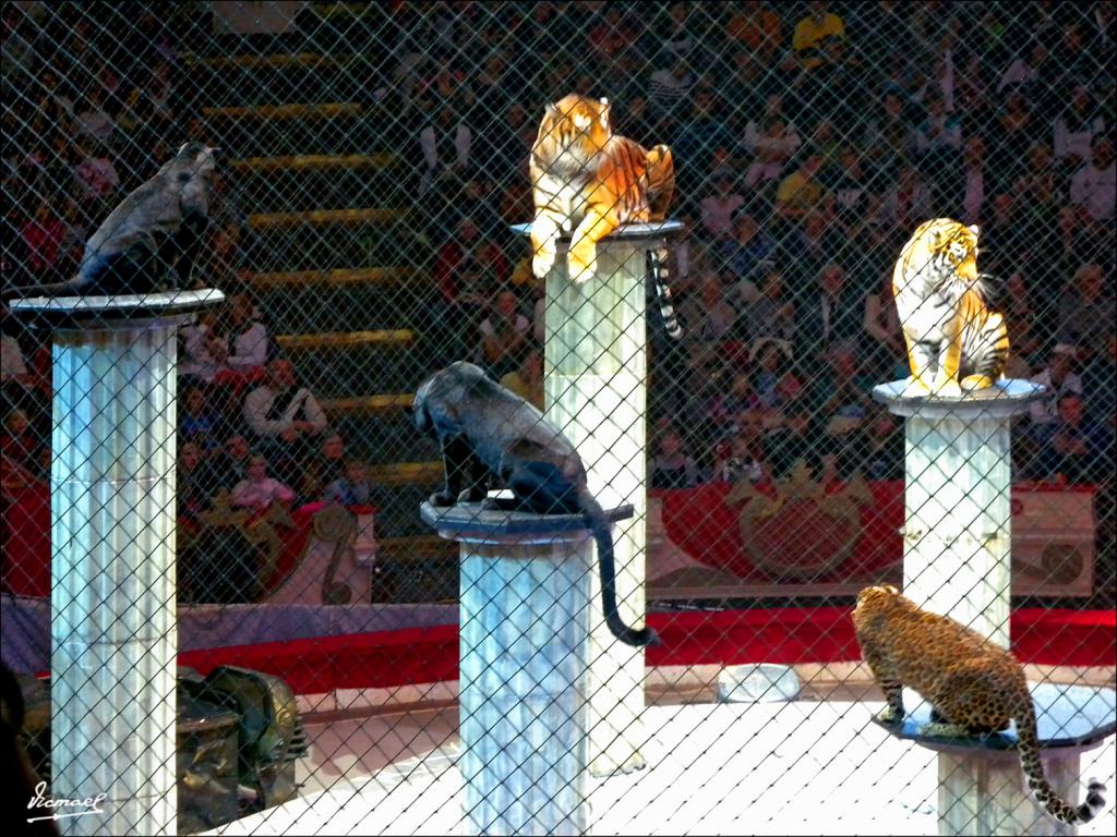 Foto de Moscu, Rusia