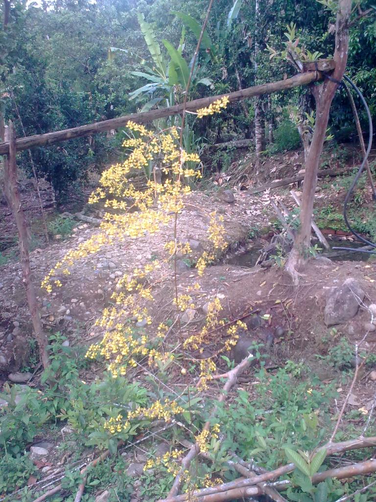 Foto de Shell-Pastaza, Ecuador