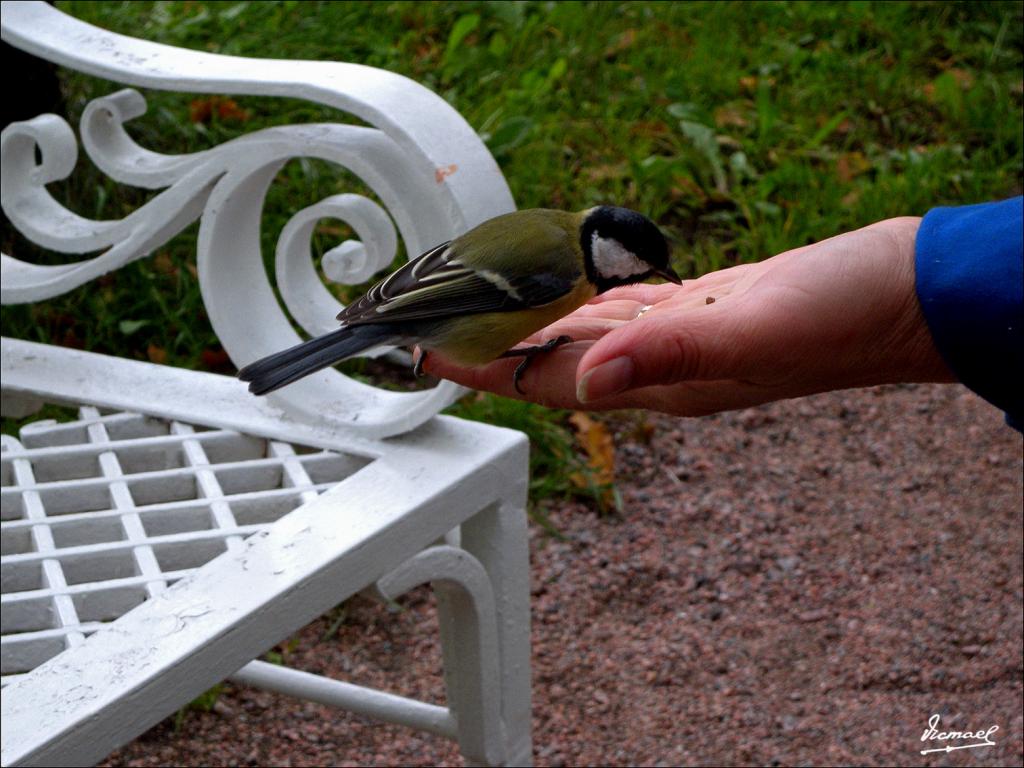 Foto de Pushkin, Rusia