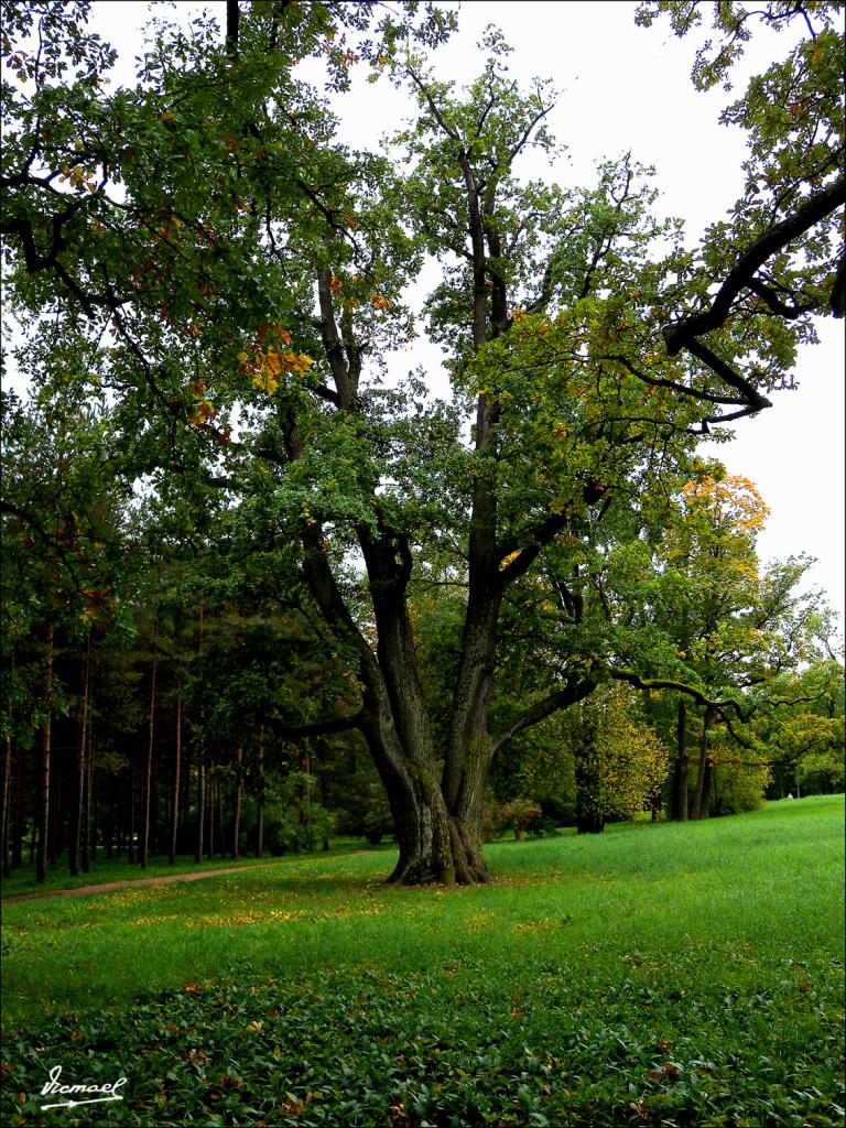 Foto de Pushkin, Rusia