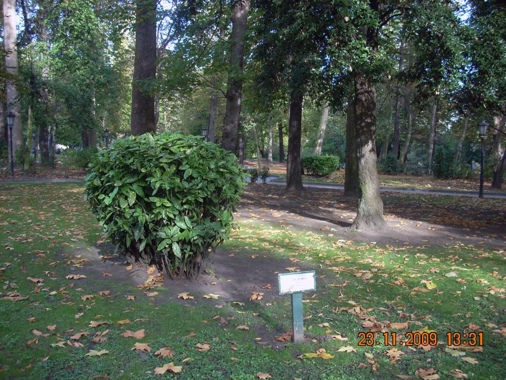 Foto de Oviedo (Asturias), España