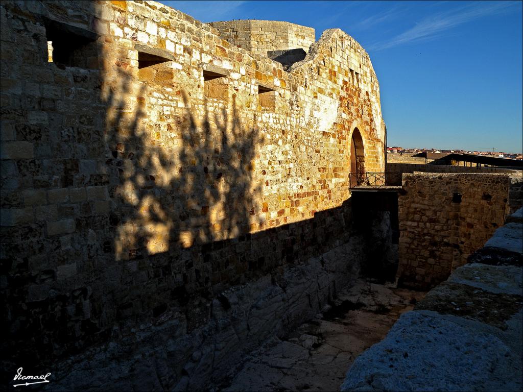 Foto de Zamora (Castilla y León), España