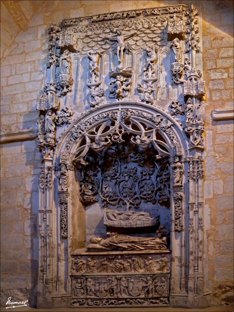 Foto de Zamora (Castilla y León), España