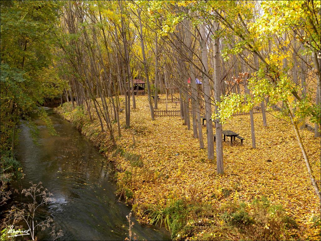 Foto de Arcos de Jalón (Soria), España