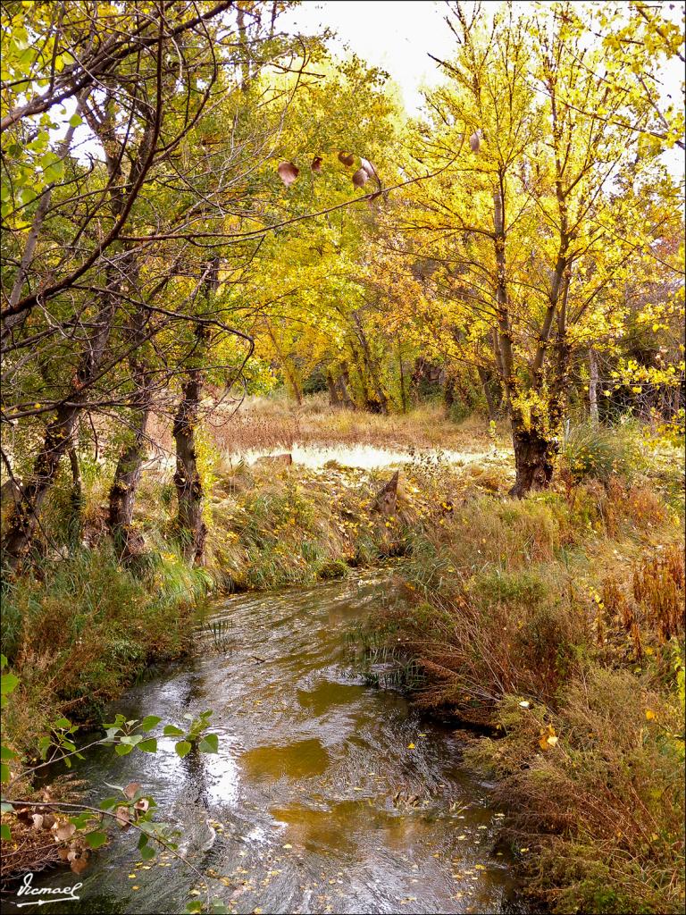 Foto de Arcos de Jalón (Soria), España