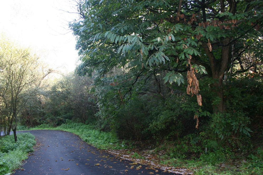 Foto de Oviedo (Asturias), España