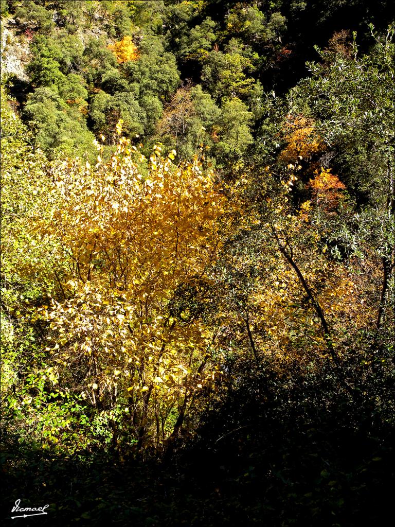 Foto de Fanlo (Huesca), España