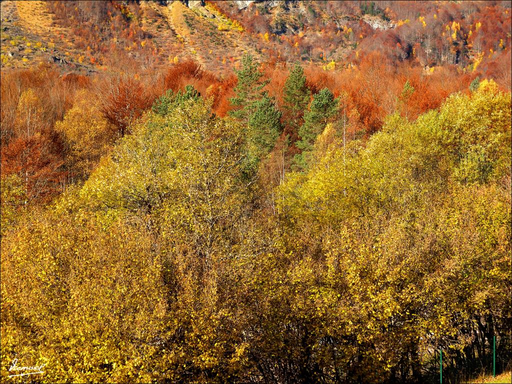 Foto de Bielsa (Huesca), España
