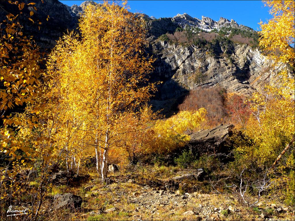 Foto de Bielsa (Huesca), España