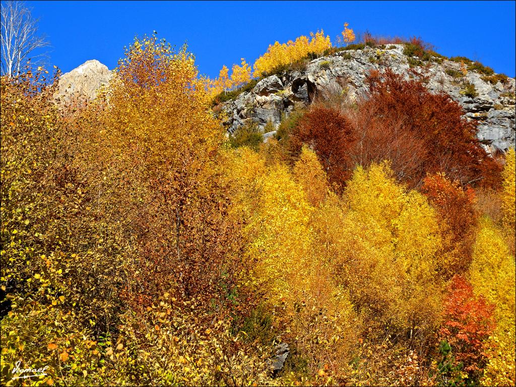 Foto de Bielsa (Huesca), España