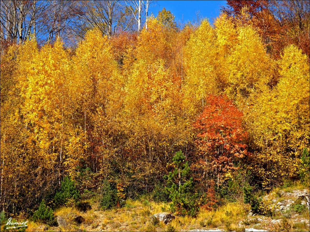 Foto de Bielsa (Huesca), España