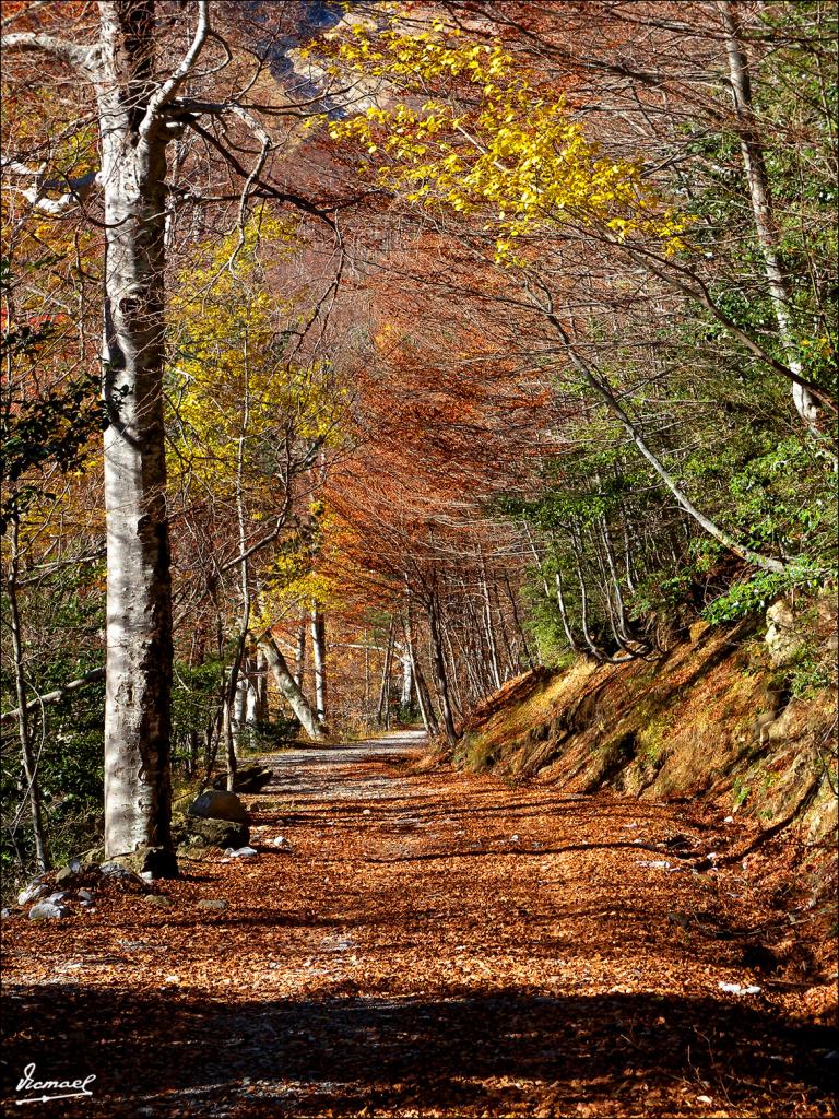 Foto de Bielsa (Huesca), España
