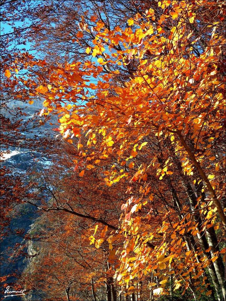 Foto de Bielsa (Huesca), España
