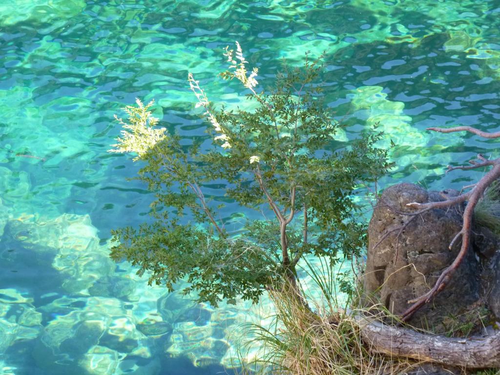 Foto de Esquel (Chubut), Argentina