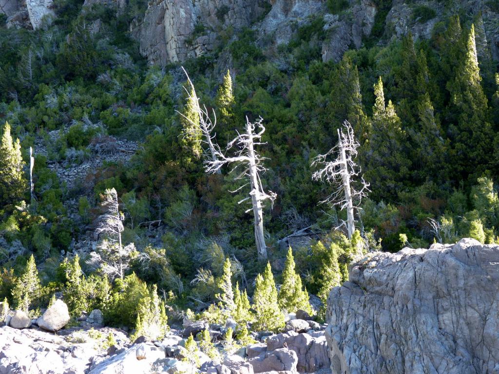 Foto de Esquel (Chubut), Argentina