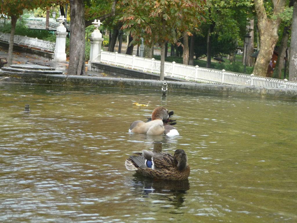 Foto de Oviedo (Asturias), España