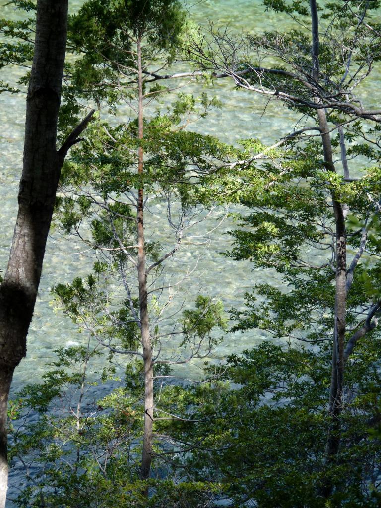 Foto de Esquel (Chubut), Argentina