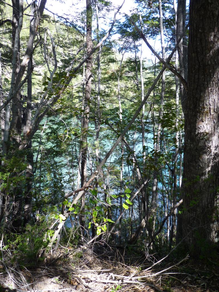 Foto de Esquel (Chubut), Argentina