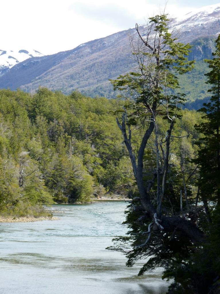 Foto de Esquel (Chubut), Argentina