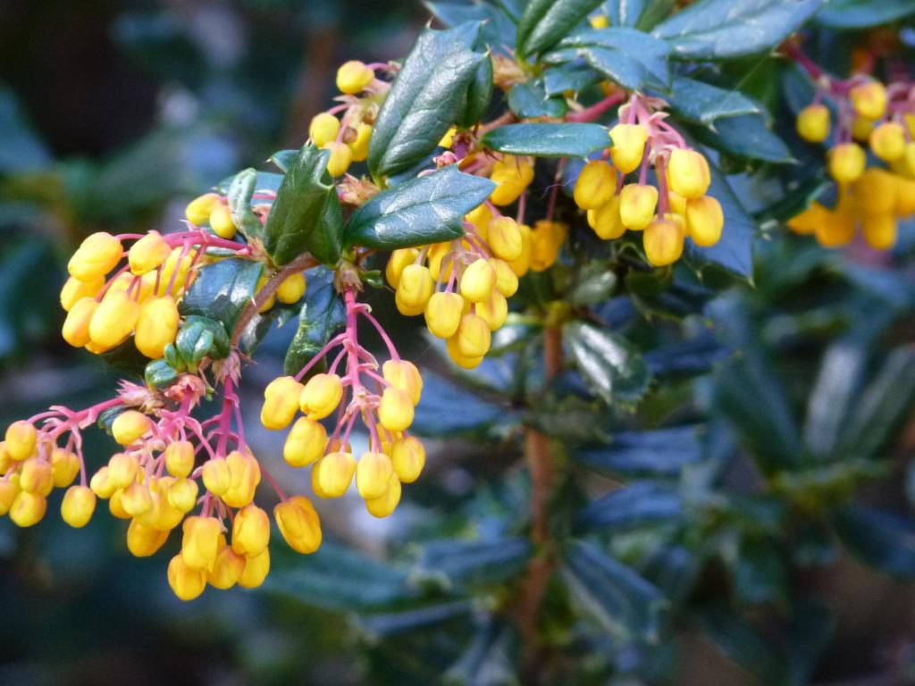 Foto de Esquel (Chubut), Argentina