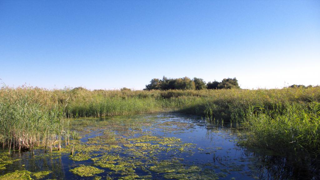 Foto de Daimiel (Ciudad Real), España