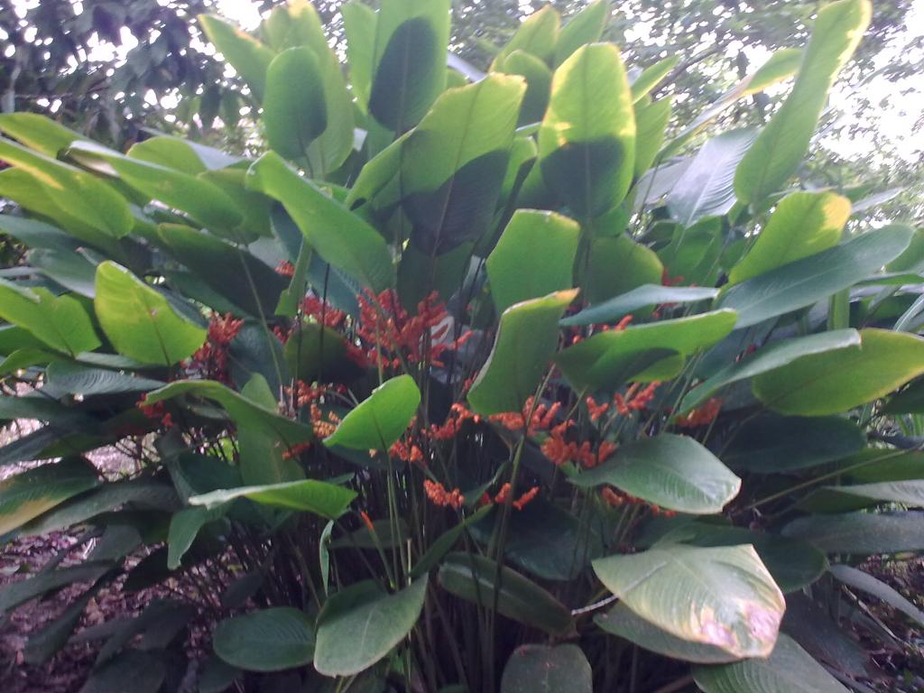 Foto de Shell, Ecuador