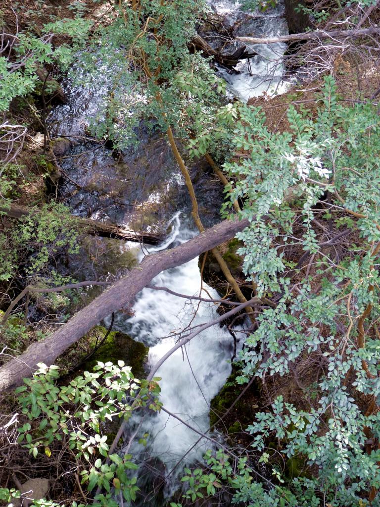 Foto de Esquel (Chubut), Argentina