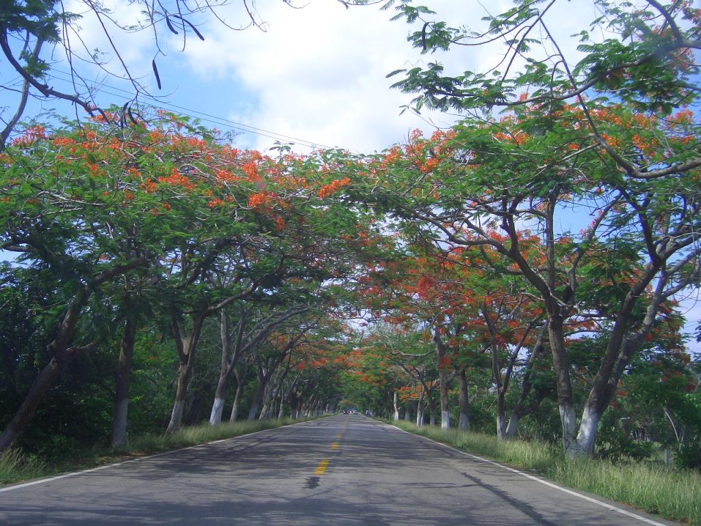 Foto de Medellin, Colombia