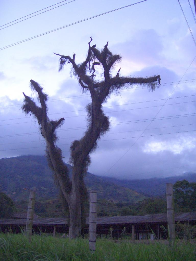 Foto de Medellin, Colombia