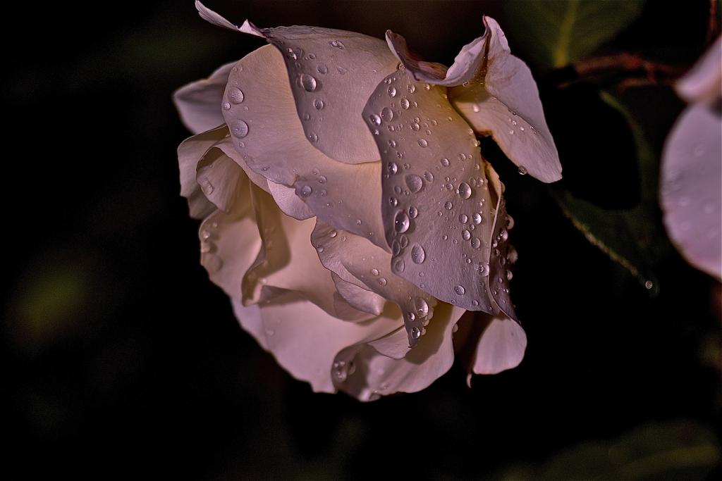 Foto de Zaragoza (Aragón), España