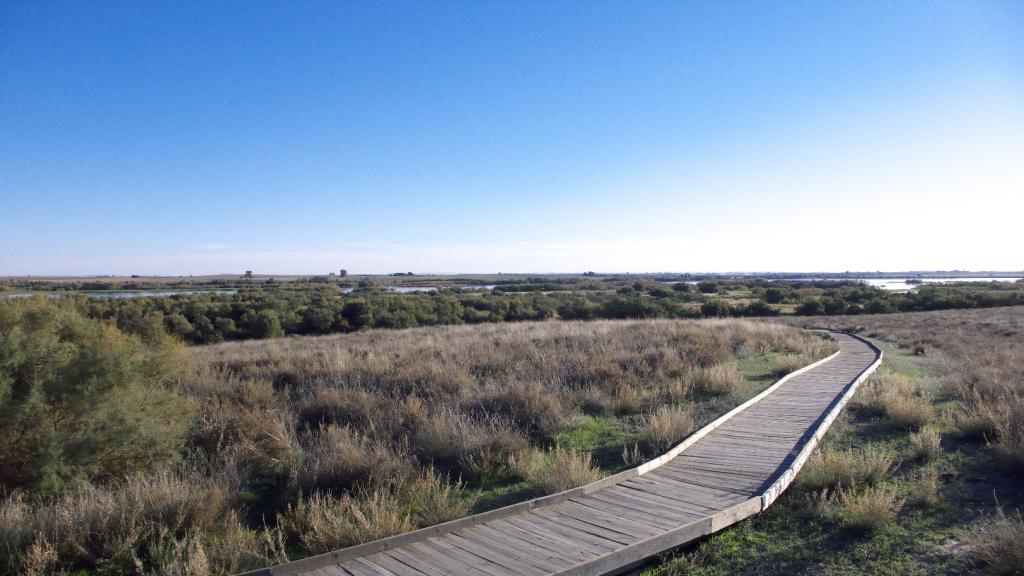 Foto de Tablas de Daimiel (Ciudad Real), España