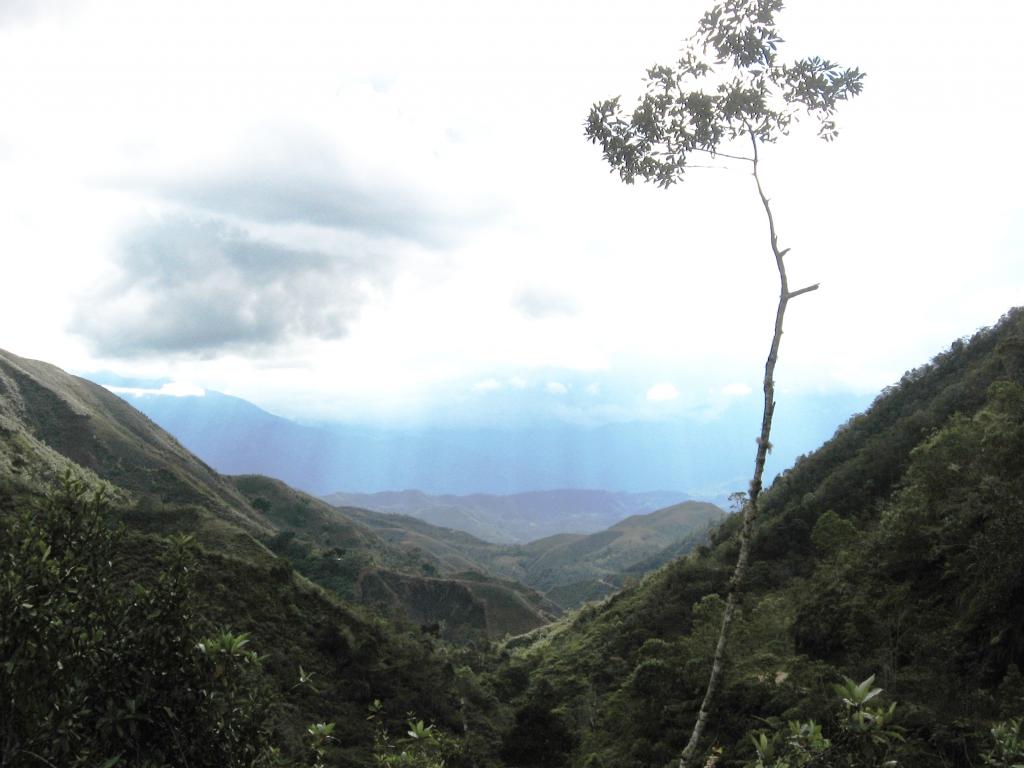 Foto de Chanchamayo, Perú