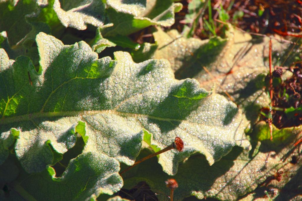 Foto de Ruidera (Ciudad Real), España