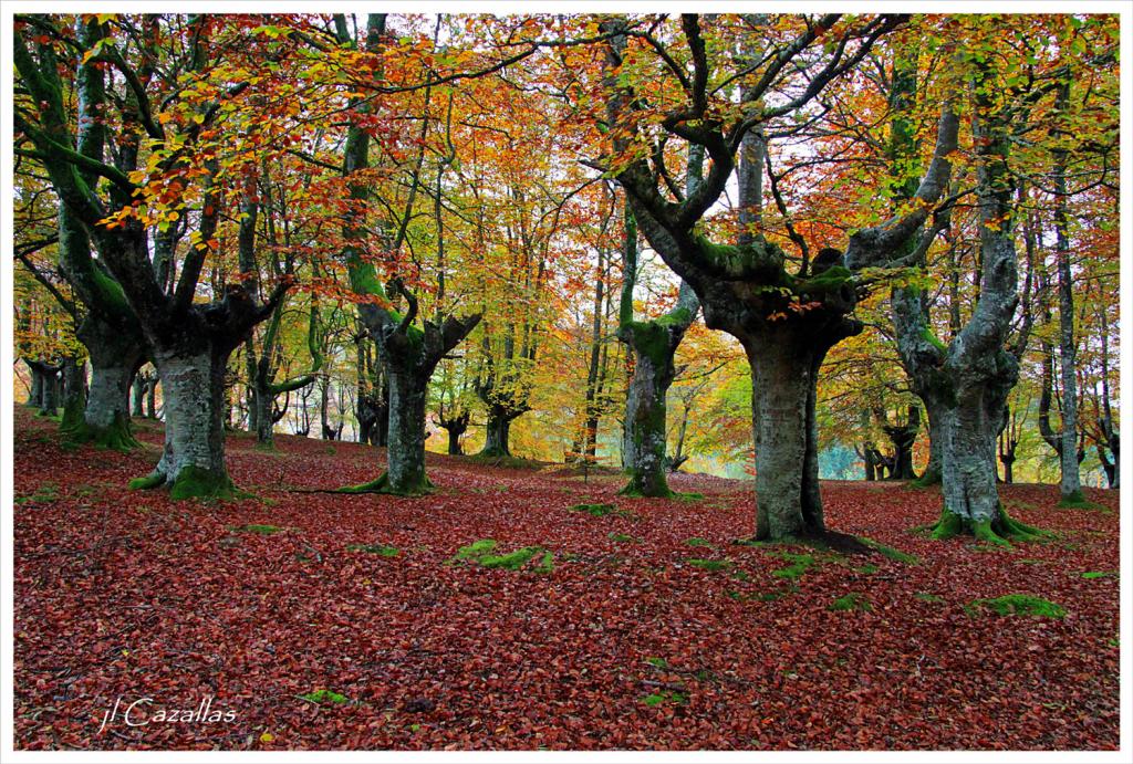 Foto de Abadiño (Vizcaya), España