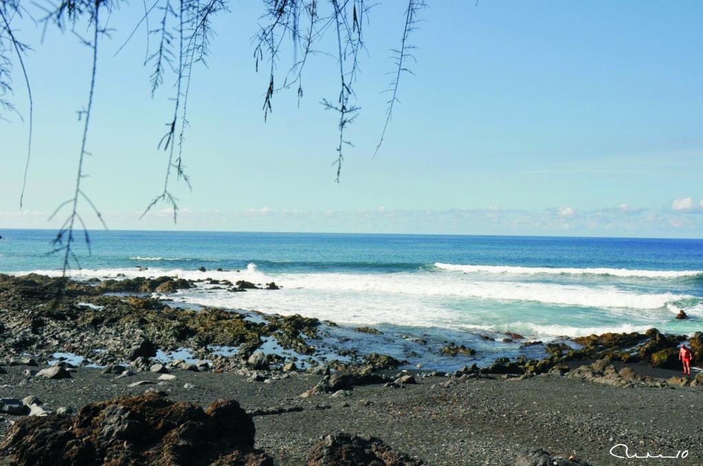 Foto de Puerto de la Cruz (Santa Cruz de Tenerife), España
