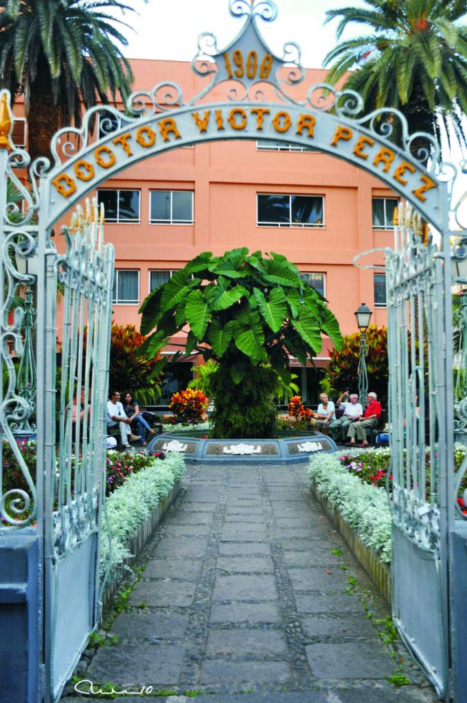 Foto de Puerto de la Cruz (Santa Cruz de Tenerife), España