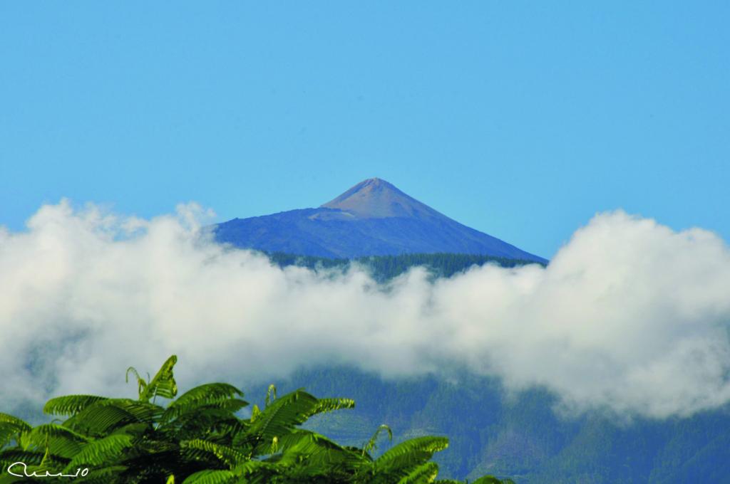 Foto de Puerto de la Cruz (Santa Cruz de Tenerife), España