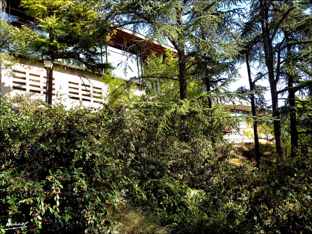 Foto de Burgos (Castilla y León), España