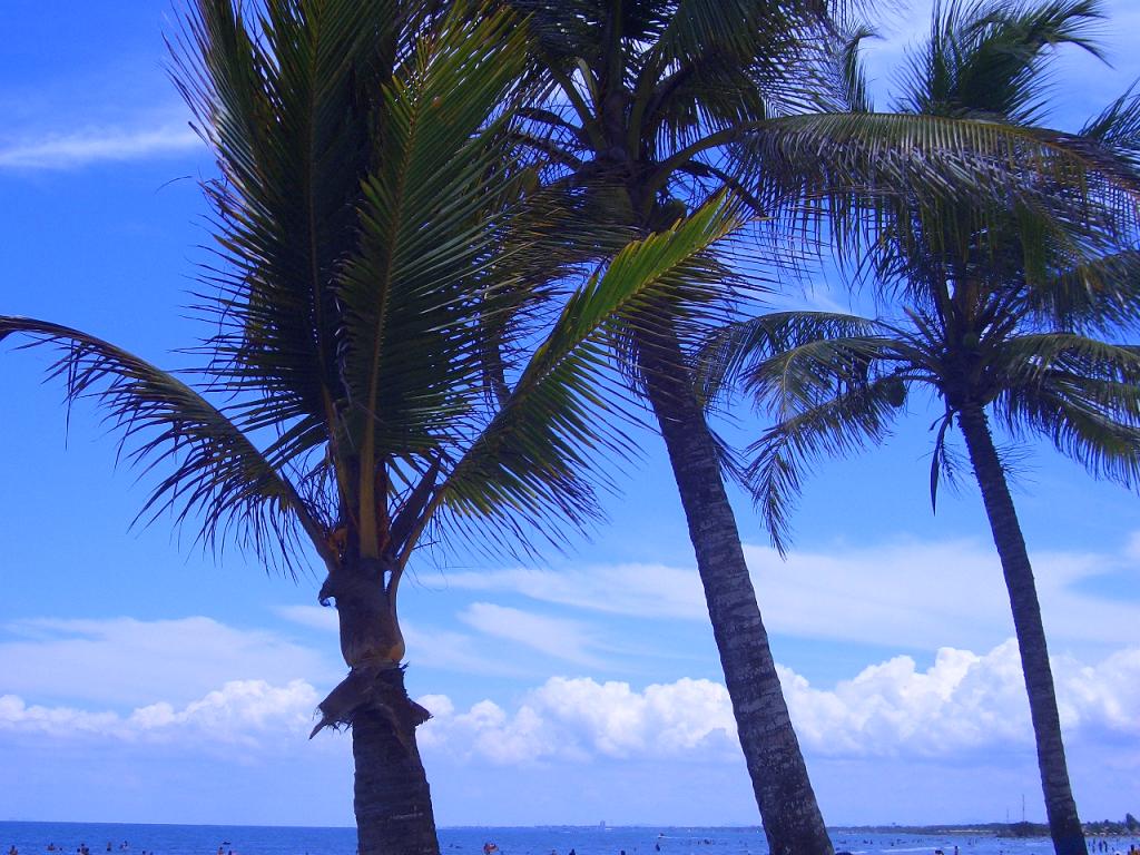 Foto de Coveñas, Colombia
