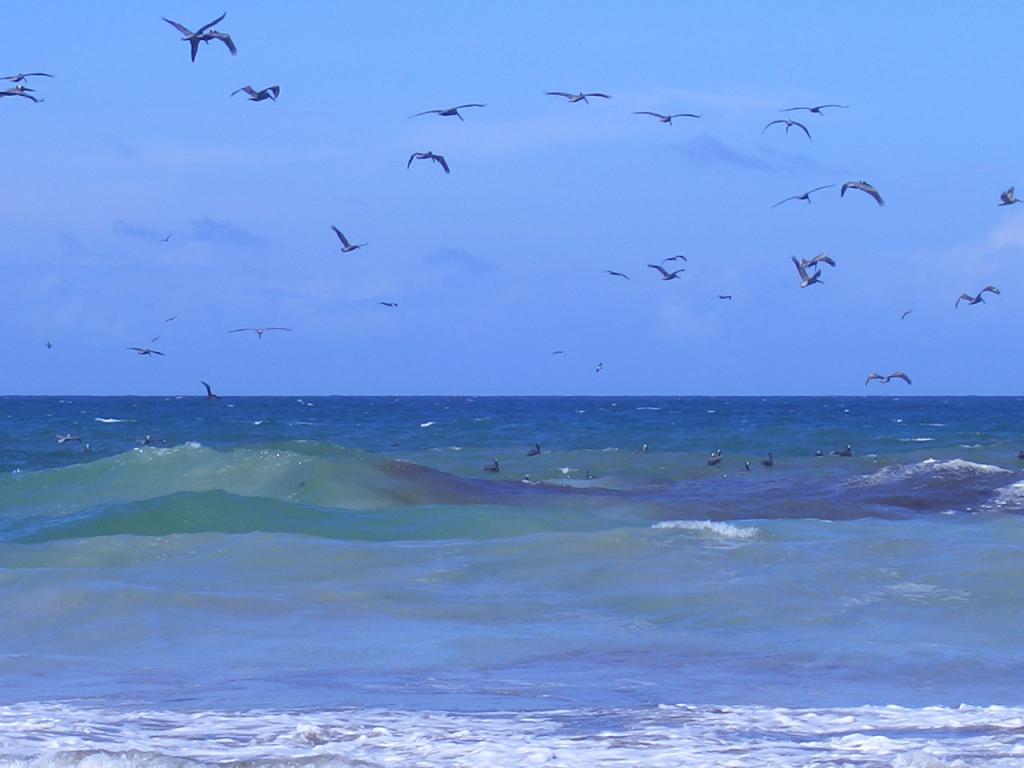 Foto de Islas de Margarita, Colombia