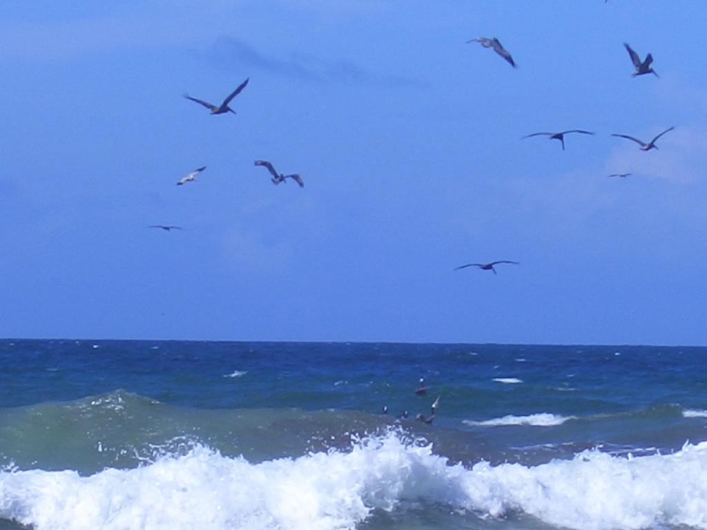Foto de Islas de Margarita, Colombia