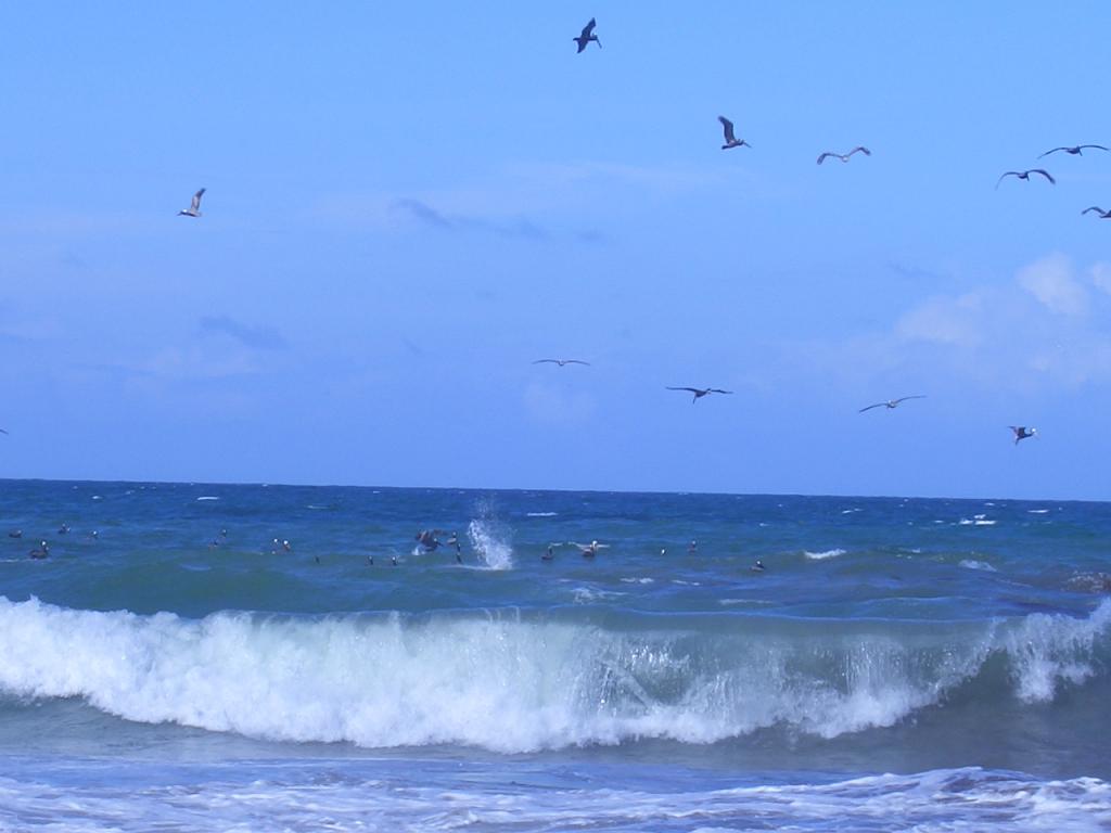 Foto de Islas de Margarita, Colombia