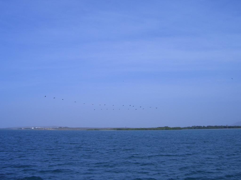Foto de Isla de Margarita, Venezuela