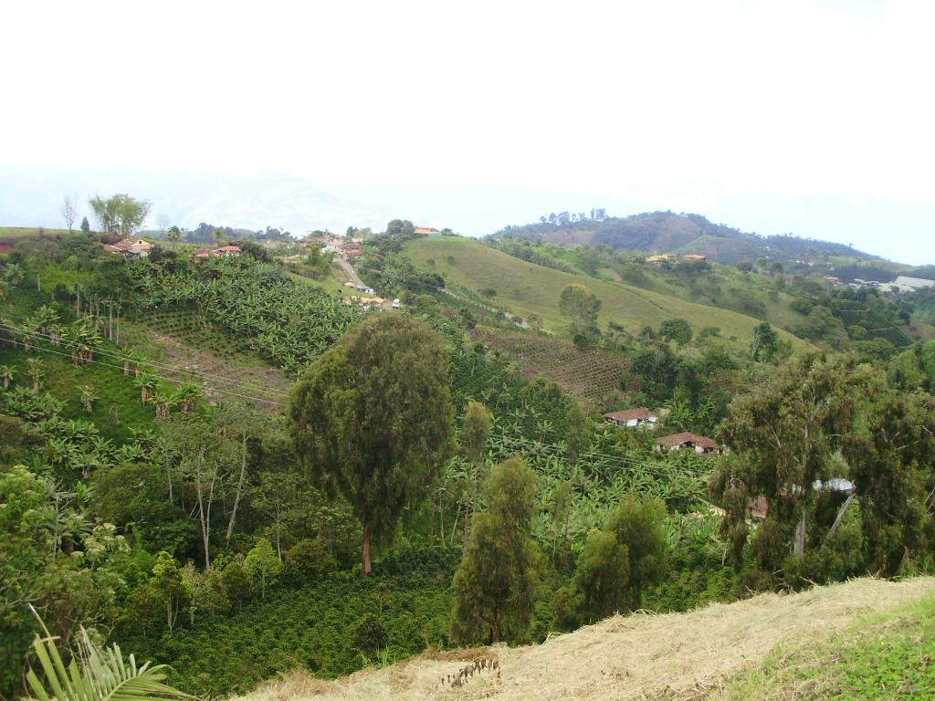 Foto de Jerico, Colombia