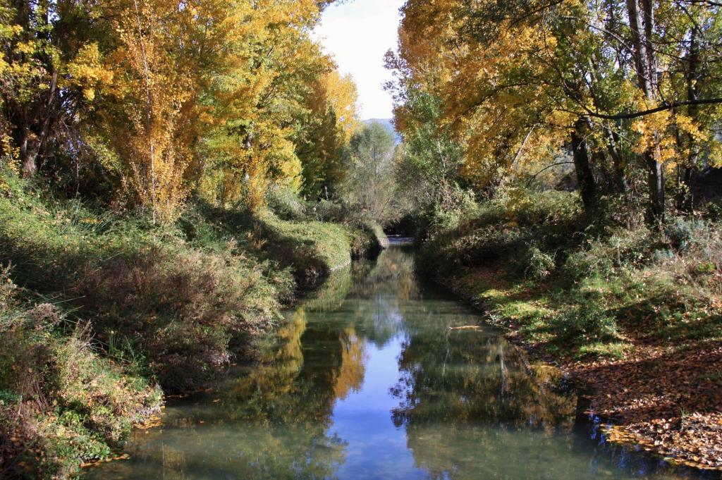 Foto de Granada (Andalucía), España