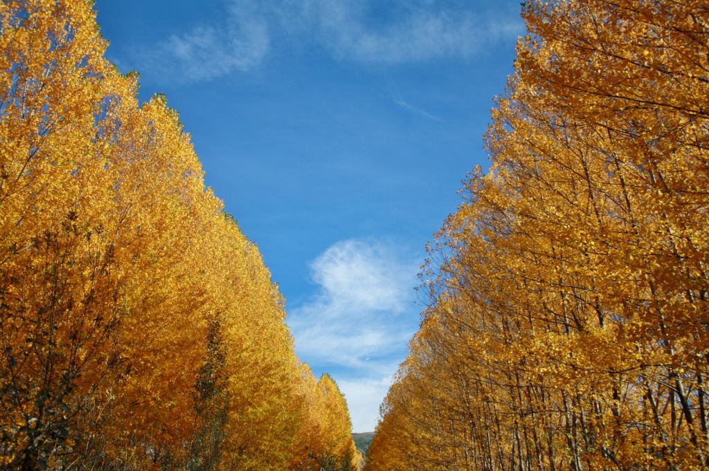 Foto de Cenes de la Vega (Granada), España