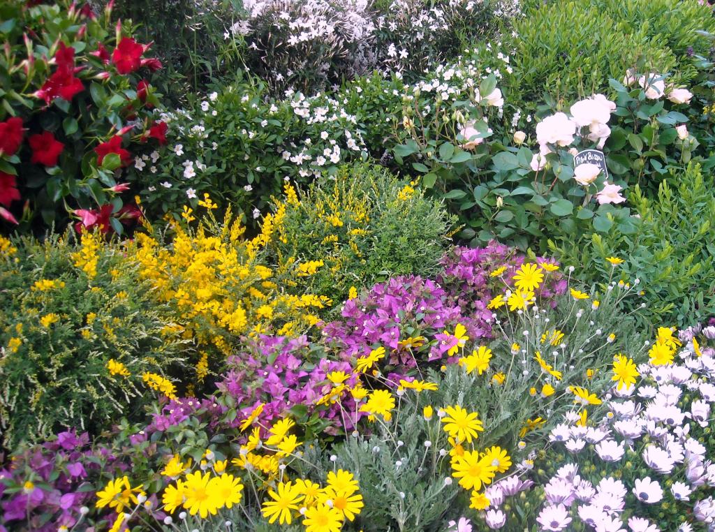 Foto de Paris, Francia