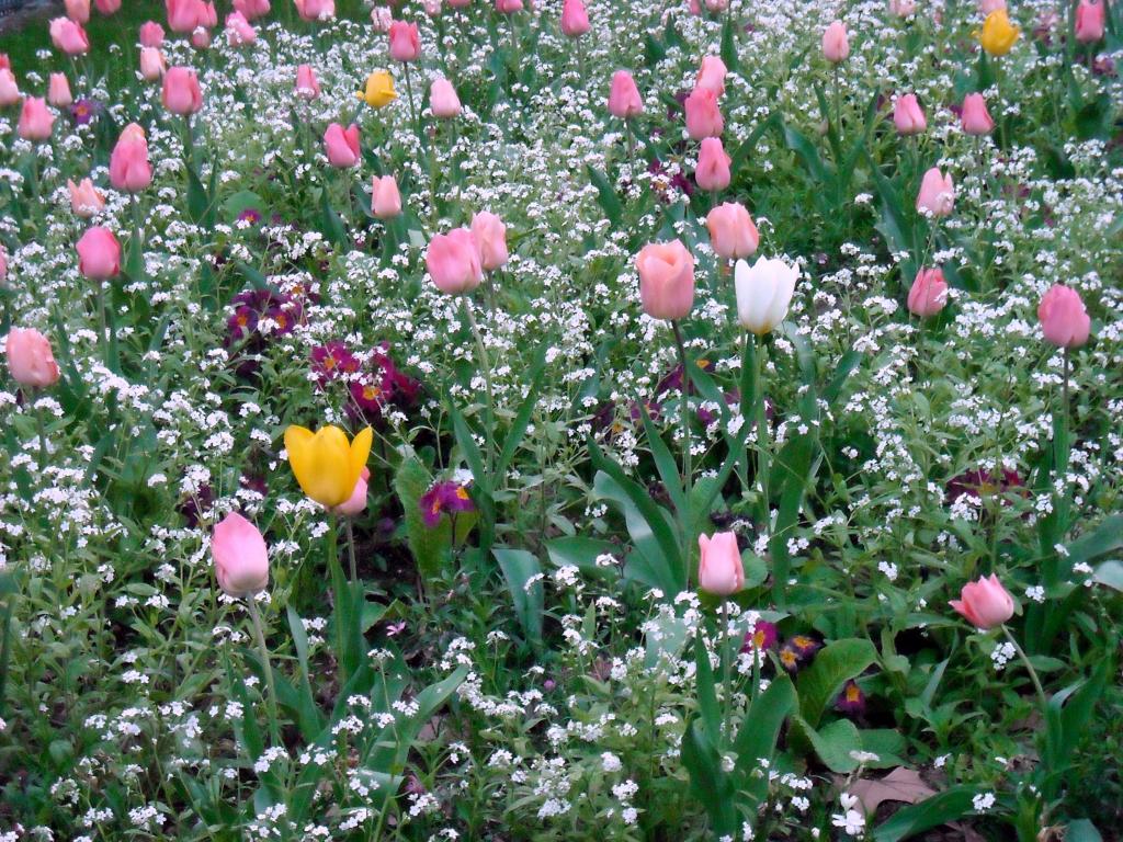 Foto de Paris, Francia